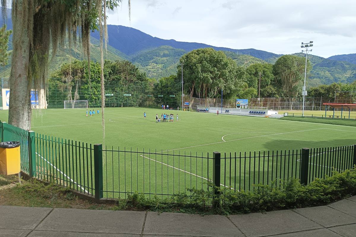 Cancha de fútbol de césped artificial del club