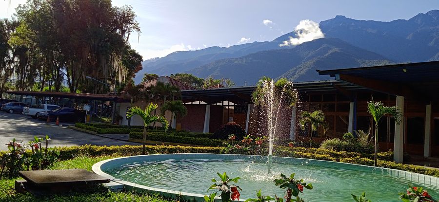 Fuente y los jardines de la entrada