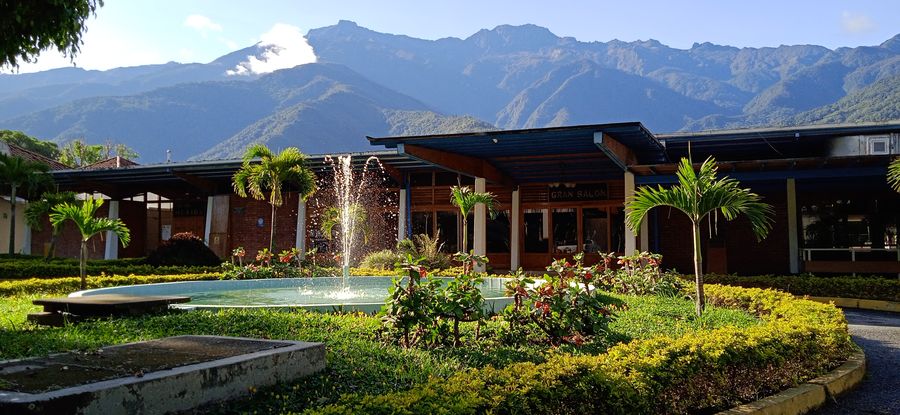 Jardines de la sede con las palmeras