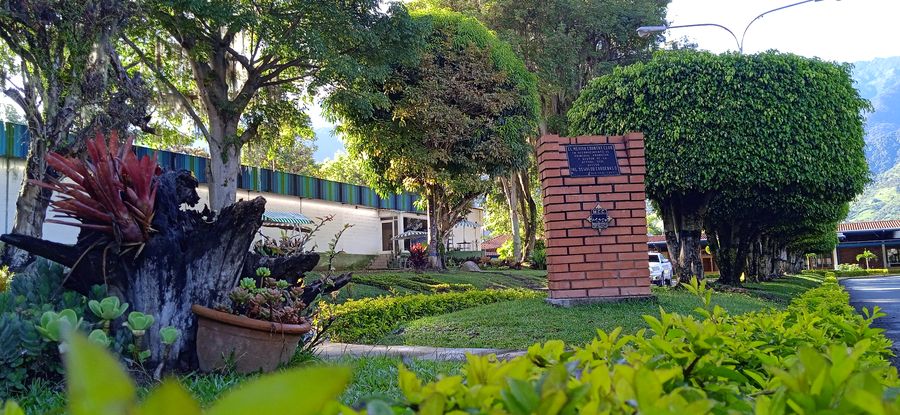 Rincón ajardinado con el muro de ladrillo