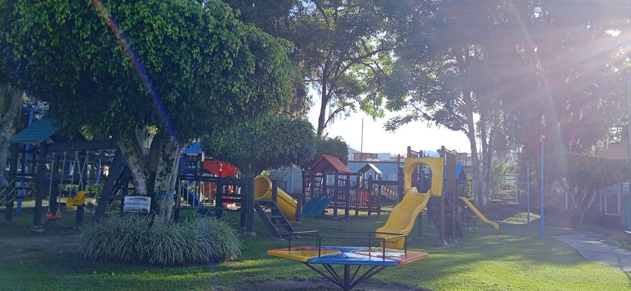 Juegos del parque infantil entre los árboles